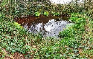 Fontaine3.jpg