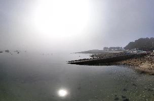 MistyHarbour.jpg