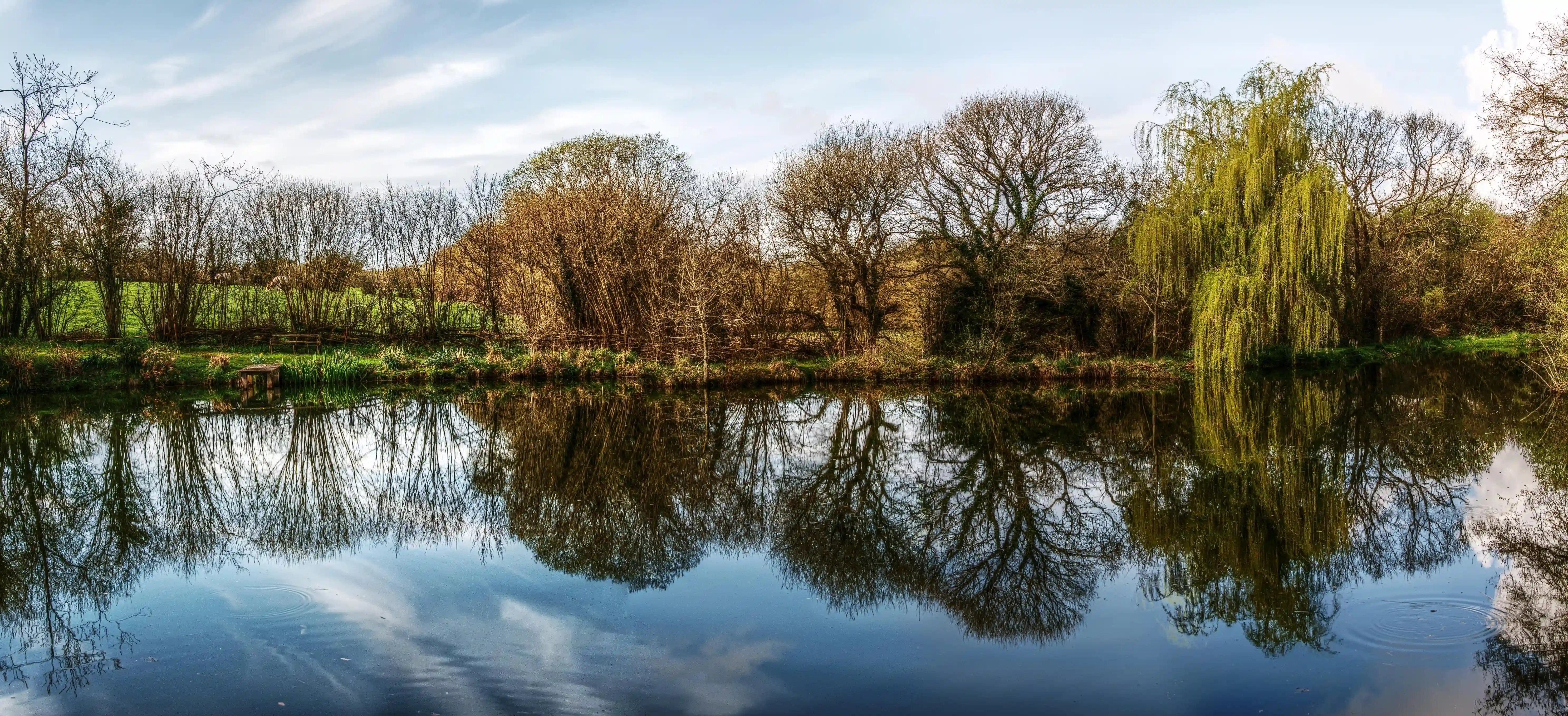Still waters of a Breton lake, La Chapelle-Neuve, flat, panorama, calm, landscape, pond, rural, water, secluded, nature, lake, countryside, still, garden, woods, quiet, breton, bushes, morning, bretagne, trees, dawn, brittany, reflections, idyll, france, reflective, private