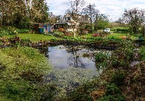 Informal garden of retirement home in rural Brittany, la chapelle-neuve, british, callac, expatriate, informal, country, cottage, beautiful, garden, picturesque, breton, cultivated, bretagne, rural, brittany, second, french, home, france, retirement