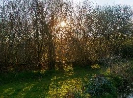 gimp_5201-gimp_5211.jpg