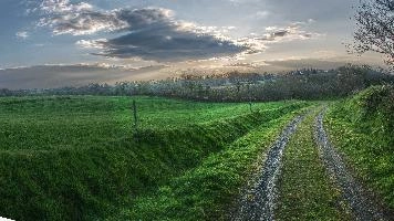 Breton farmland shortly before nightfall, la Chapelle-Neuve, sunset, dusk, grass, evening, pasture, countryside, grazing, rural, agriculture, bretagne, dairy, brittany, fields, breton, lane, french, path, france, sky