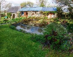 Informal garden of retirement home in rural Brittany, la chapelle-neuve, british, callac, expatriate, informal, country, cottage, beautiful, garden, picturesque, breton, cultivated, bretagne, rural, brittany, second, french, home, france, retirement