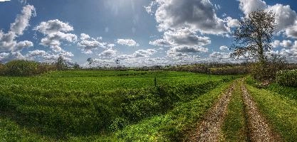 Breton countryside at la Chapelle-Neuve, near Callac, path, sunshine, bocage, daylight, countryside, bright, landscape, spring, la chapelle-neuve, clouds, callac, sunny, breton, agriculture, road, bretagne, grazing, unpaved, brittany, field, dirt, france, meadow, rural