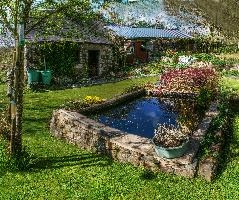 Informal garden of retirement home in rural Brittany, la chapelle-neuve, british, callac, expatriate, informal, country, cottage, beautiful, garden, picturesque, breton, cultivated, bretagne, rural, brittany, second, french, home, france, retirement
