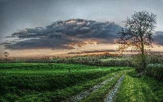 Breton countryside in evening light, La Chapelle-Neuve, rosy, pasture, sky, field, dusk, grass, evening, meadow, trees, grazing, meadows, bocage, fields, countryside, bretagne, rural, brittany, agriculture, remote, france, sunset, path