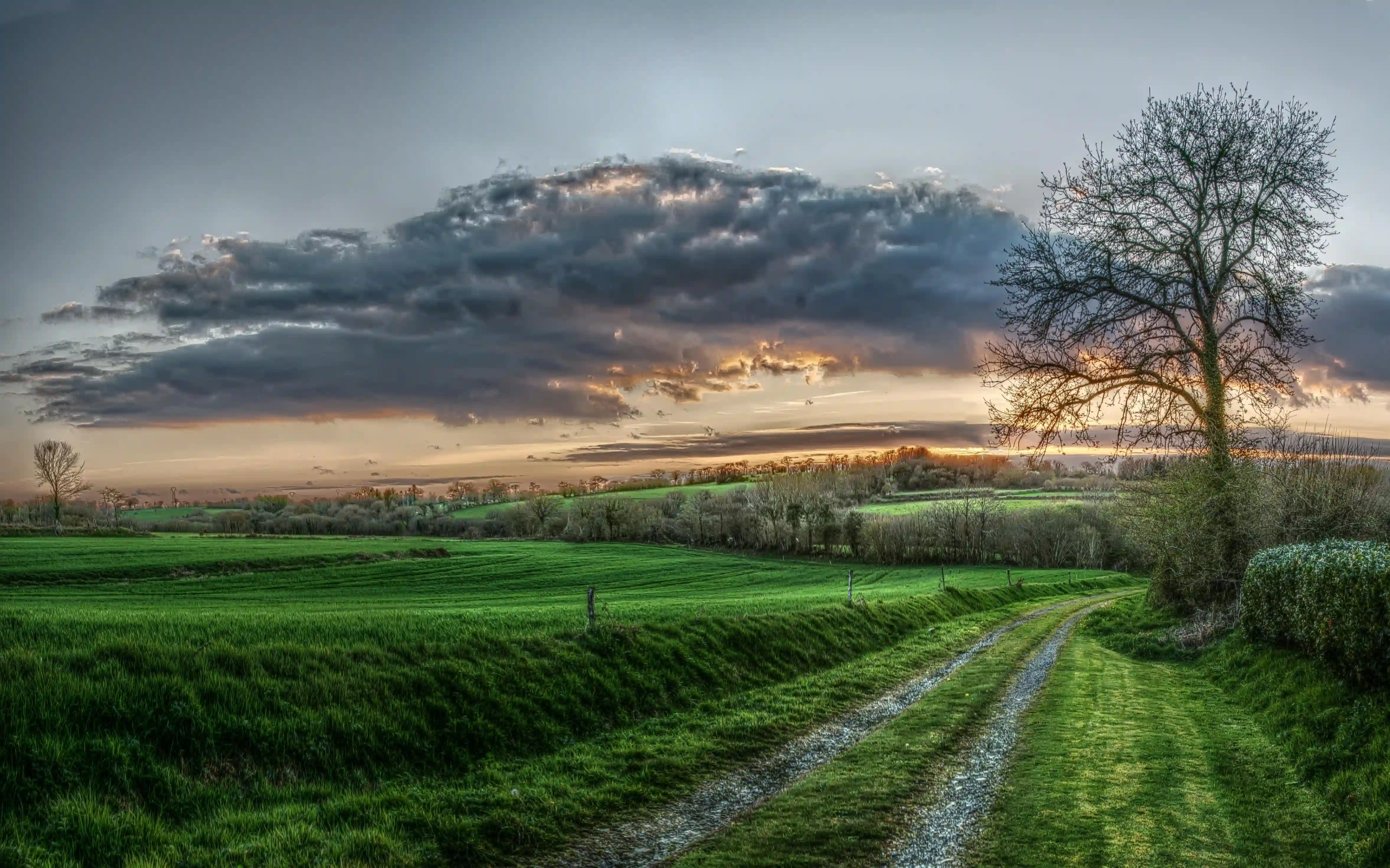 Breton countryside in evening light, La Chapelle-Neuve, rosy, pasture, sky, field, dusk, grass, evening, meadow, trees, grazing, meadows, bocage, fields, countryside, bretagne, rural, brittany, agriculture, remote, france, sunset, path