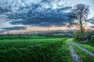 Breton countryside in evening light, La Chapelle-Neuve, rosy, pasture, sky, field, dusk, grass, evening, meadow, trees, grazing, meadows, bocage, fields, countryside, bretagne, rural, brittany, agriculture, remote, france, sunset, path