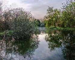 Calm waters of a small lake in the Breton countryside, France, water, lake, french, rural, countryside, la chapelle-neuve, still, restougouin, peaceful, callac, garden, brittany, reflections, france, calm