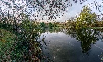 Calm waters of a small lake in the Breton countryside, France, water, lake, french, rural, countryside, la chapelle-neuve, still, restougouin, peaceful, callac, garden, brittany, reflections, france, calm