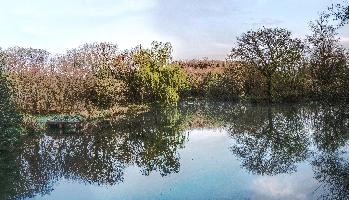 Calm waters of a small lake in the Breton countryside, France, water, lake, french, rural, countryside, la chapelle-neuve, still, restougouin, peaceful, callac, garden, brittany, reflections, france, calm