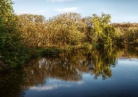 Lake at Restougouin, Brittany, bretagne, guingamp, peaceful, garden, lake, mist, callac, brittany, calm, france, morning, la chapelle-neuve, tranquil, scenery, contemplative, trees, water, reflections, still, secluded, scenic
