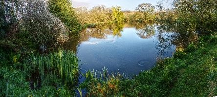 Lake at Restougouin, Brittany, bretagne, guingamp, peaceful, garden, lake, mist, callac, brittany, calm, france, morning, la chapelle-neuve, tranquil, scenery, contemplative, trees, water, reflections, still, secluded, scenic