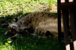 dsc_179257.jpg