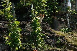dsc_215950.jpg
