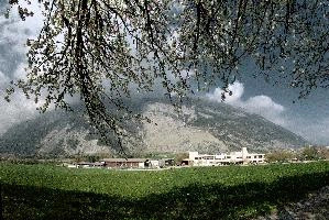 ARGO, Chur, chur, graubünden, cherry, white, meadow, blossom, alpine, graubuenden, grisons, daylight, schweiz, fresh, sunny, spring, mountains, flowering, alps, flowers, foliage, orchard, switzerland, plankis, fruit, trees, swiss, sprouting