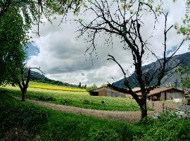 Arable Chur, graubuenden, grisons, clouds, alps, agriculture, rape, sky, chur, graubünden, schweiz, yellow, plankis, cloudy, oilseed, stormy, flowering, crop, overcast, switzerland, snow, fields, rape., farming, arable