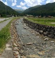 Davos Stream, meadow, davos, schweiz, flowers