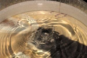 Water Drop, drops, water, dish, flash, splash, high-speed