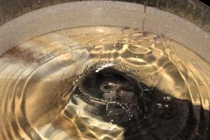 Water Drop, drops, water, dish, flash, splash, high-speed