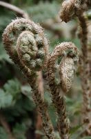 dsc_104656.jpg