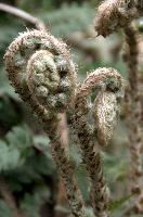 dsc_104657.jpg