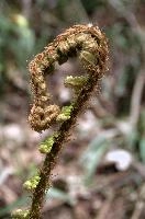 dsc_104659.jpg