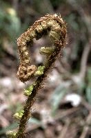 dsc_104660.jpg