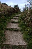 dsc_104746.jpg