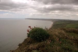 dsc_104813.jpg