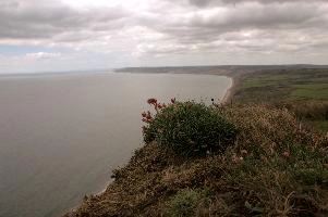 dsc_104815.jpg