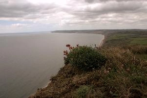 dsc_104817.jpg