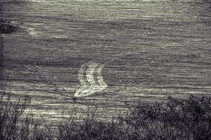 mantiuk_4223hst.jpg