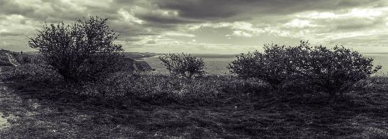 mantiuk_4262-mantiuk_4268hst.jpg