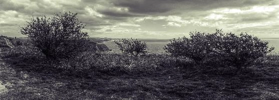 mantiuk_4262-mantiuk_4268hsts.jpg