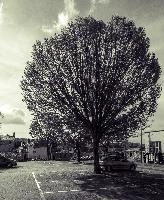mantiuk_4649-mantiuk_4652hsts.jpg