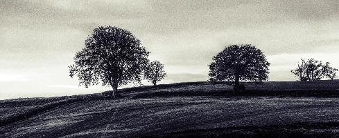 mantiuk_7520-mantiuk_7523bw.jpg
