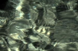 dsc_278703.jpg