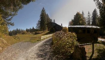 Chalets among the trees near Il Spir in Flims, building, agricultural, chalet, walking, outdoors, autumn, flims, trees, grisons, hut, switzerland, barn, europe, pine