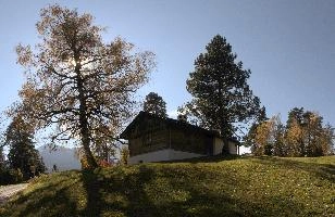 Chalet among the trees near Il Spir in Flims, barn, hut, chalet, walking, outdoors, autumn, pine, flims, birch, grisons, trees, switzerland, agricultural, europe, building