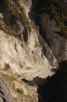 Erosion in the Rhine Gorge seen from the Il Spir viewing platform near Flims, forest, gorge, rhein, walking, outdoors, autumn, flims, grisons, ravine, switzerland, river, europe, pines