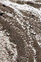 Dendritic rivulets of water dividing on shingle bed in the Rhine gorge, Switzerland, shingle, dendritic, flow, rivulets, delta, reflection, walking, pattern, outdoors, ruinaulta, autumn, gorge, flims, river, grisons, rhine, switzerland, water, europe, spread