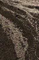 Dendritic rivulets of water dividing on shingle bed in the Rhine gorge, Switzerland, shingle, dendritic, flow, rivulets, delta, reflection, walking, pattern, outdoors, ruinaulta, autumn, gorge, flims, river, grisons, rhine, switzerland, water, europe, spread
