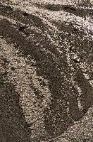 Dendritic rivulets of water dividing on shingle bed in the Rhine gorge, Switzerland, shingle, dendritic, flow, rivulets, delta, reflection, walking, pattern, outdoors, ruinaulta, autumn, gorge, flims, river, grisons, rhine, switzerland, water, europe, spread
