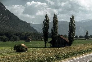 3 Poplars, meadows, mountains, sunlight, alps, outdoors, meadow, alpine, barn, poplars, sun, daylight, sunshine, flums, pasture, trees, switzerland, hut, walenstadt, farming, valley, grazing, wooden, swiss, summer, fields, crop, agriculture, floor