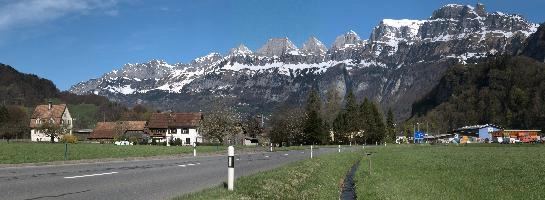 CHurfirsten from Flums, trees, gonzen, alps, mountains, sargans, switzerland, poplars, falknis