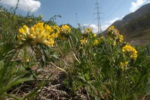 dsd_004309.jpg