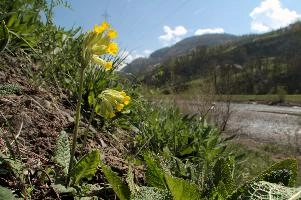 dsd_004336.jpg
