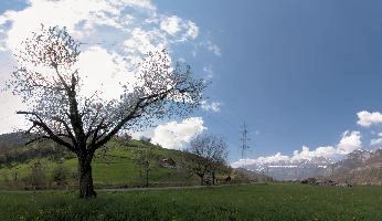 dsd_004499-dsd_004534.jpg