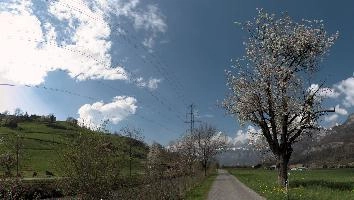 dsd_004571-dsd_004585.jpg